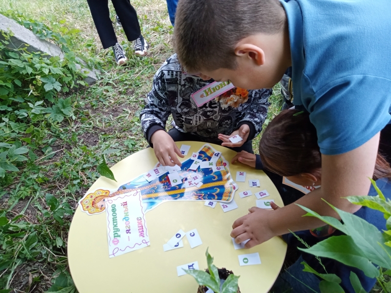 План пришкольной площадки на июнь